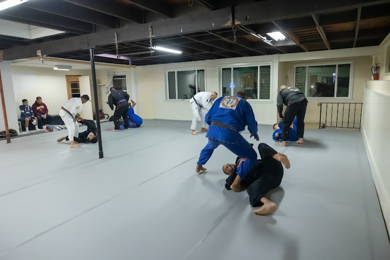 Wauriman Borges Brazilian Jiu Jitsu - San Bruno photo 2