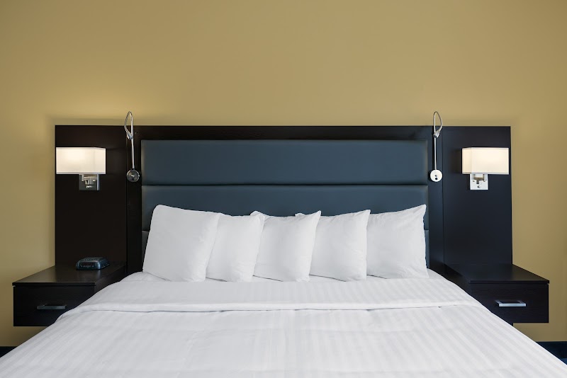 Hotel 1550 - SFO Airport photo 5