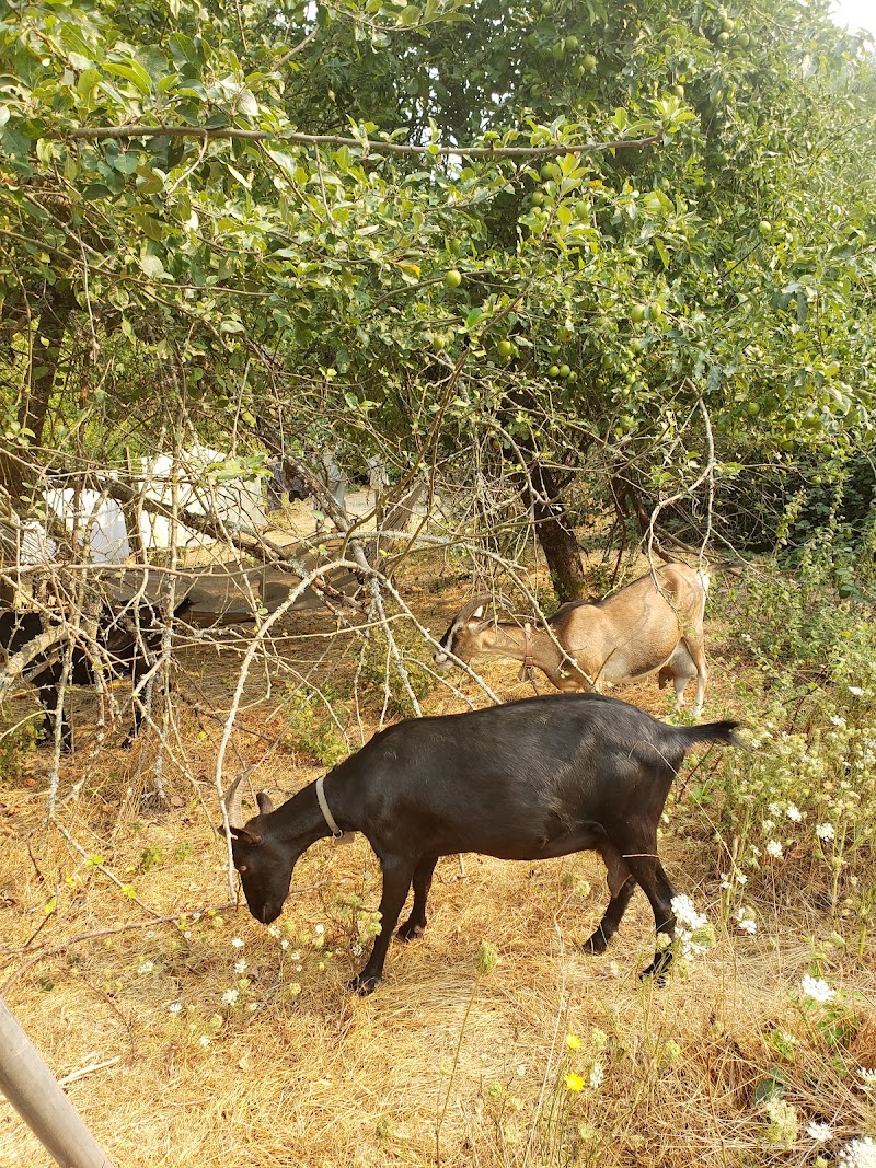 Photo of Rainbow's End Farm