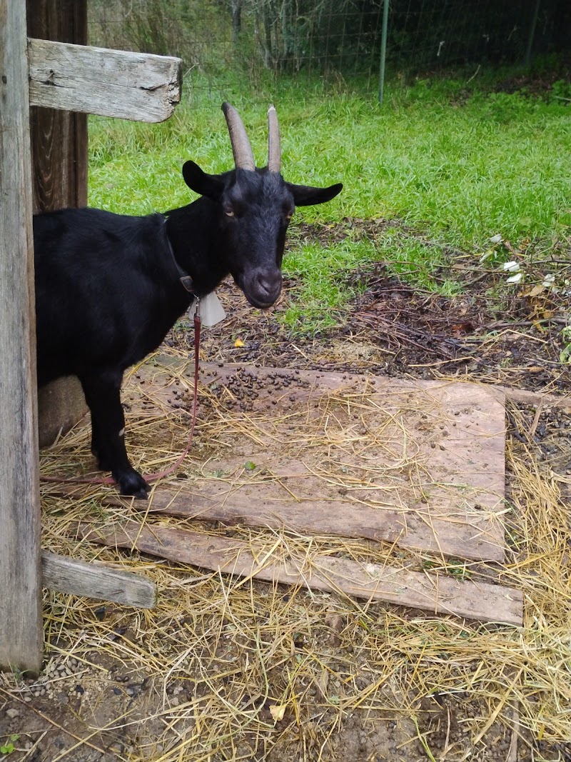 Rainbow's End Farm photo 3
