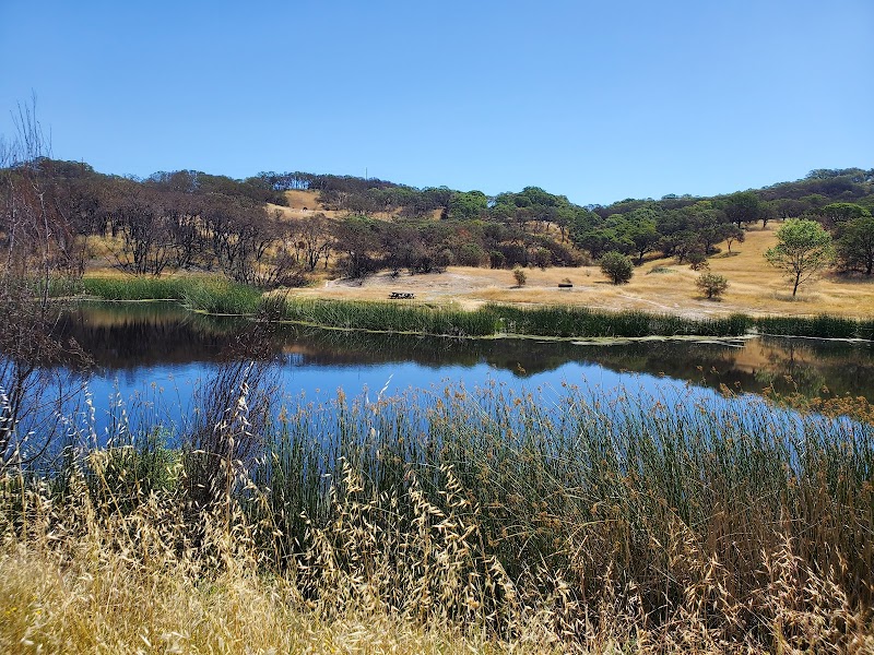 Foothill Regional Park photo 2