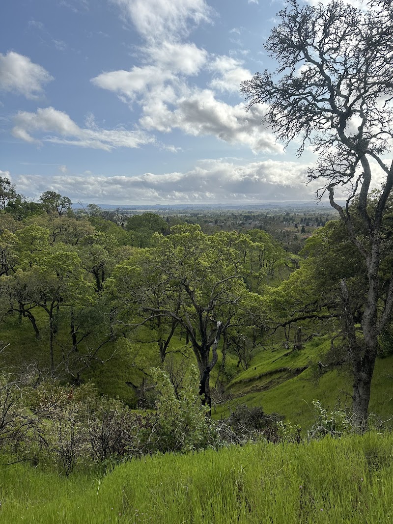 Foothill Regional Park photo 4