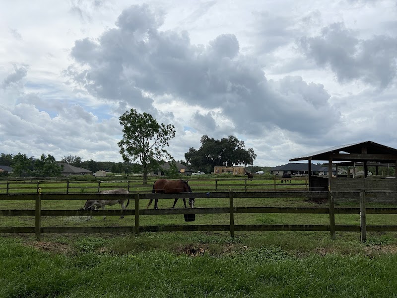Midnight Skye Ranch photo 3