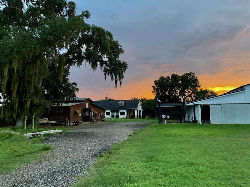 Midnight Skye Ranch photo 2