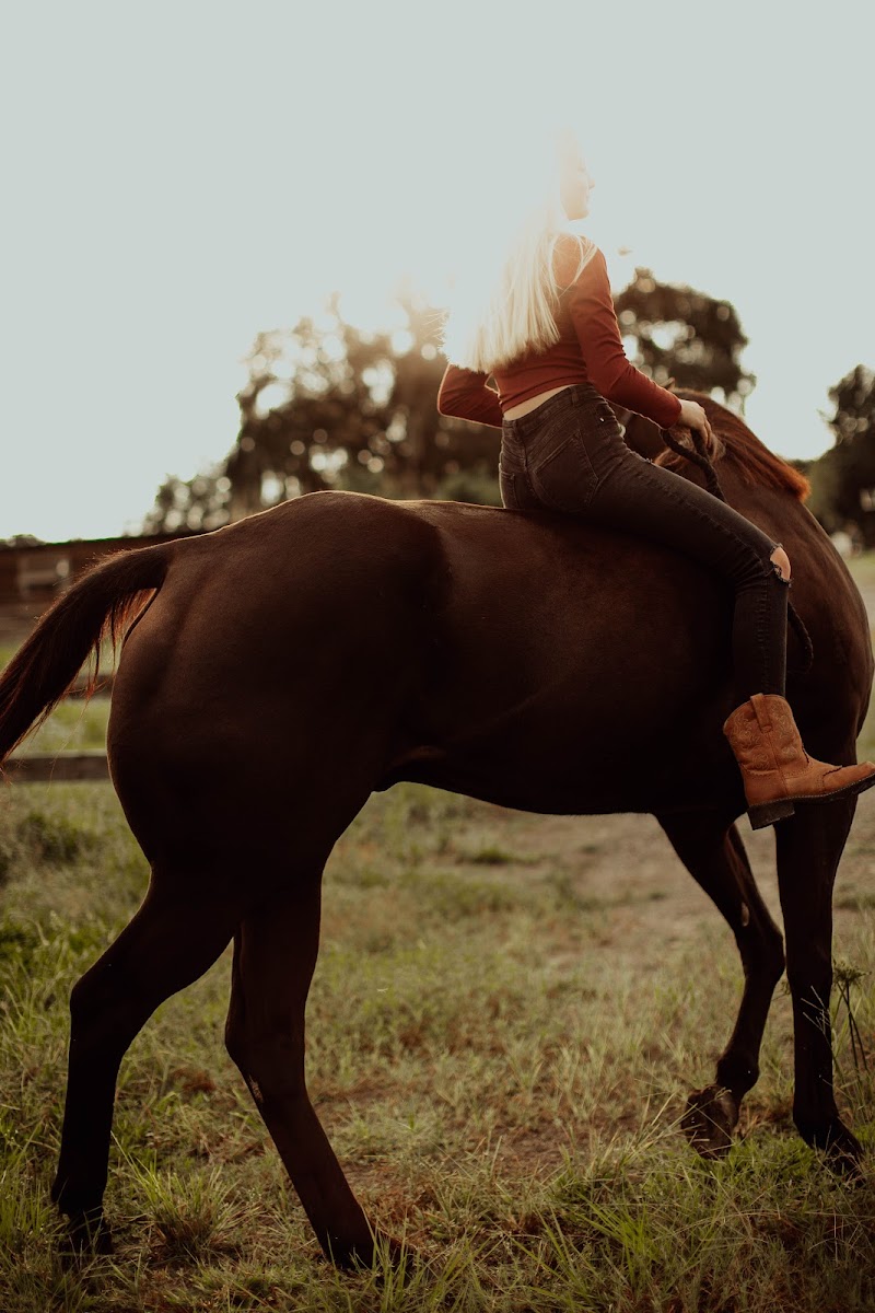 Midnight Skye Ranch photo 5