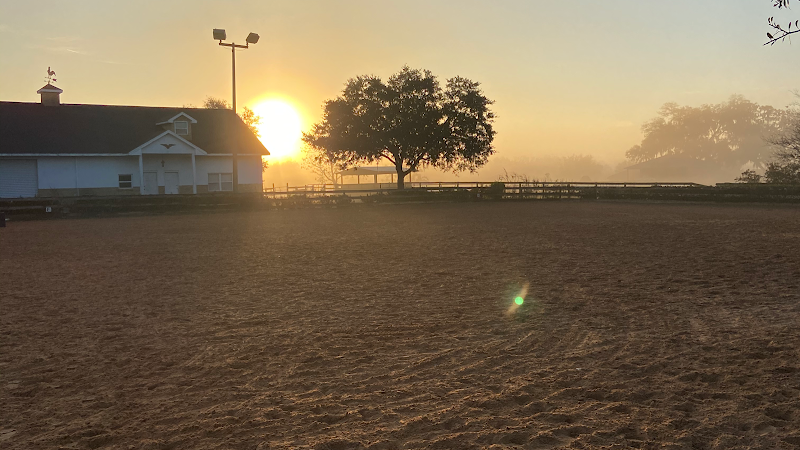 Photo of Midnight Skye Ranch