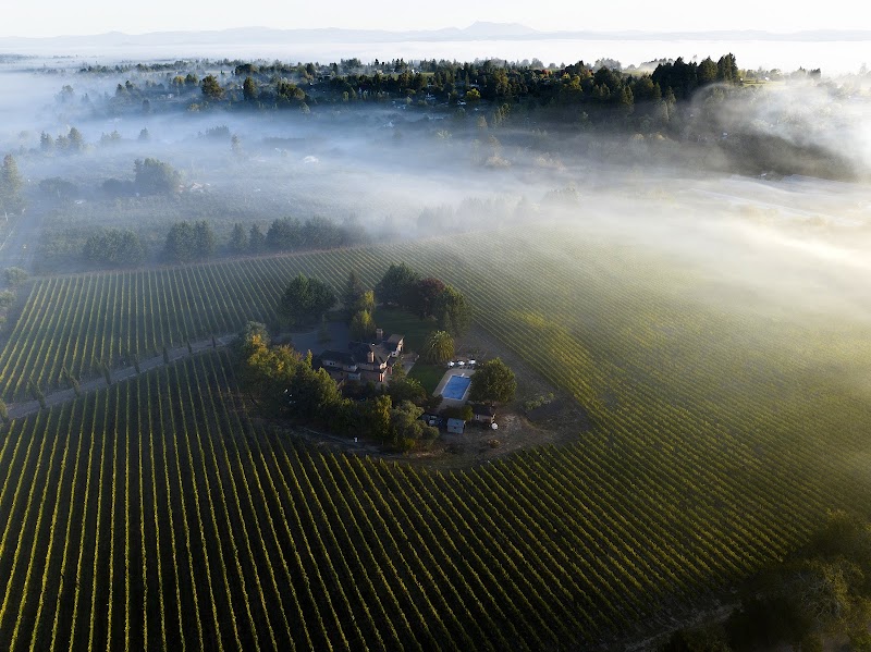 Photo of Kanzler Family Vineyards