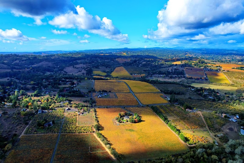 Kanzler Family Vineyards photo 5