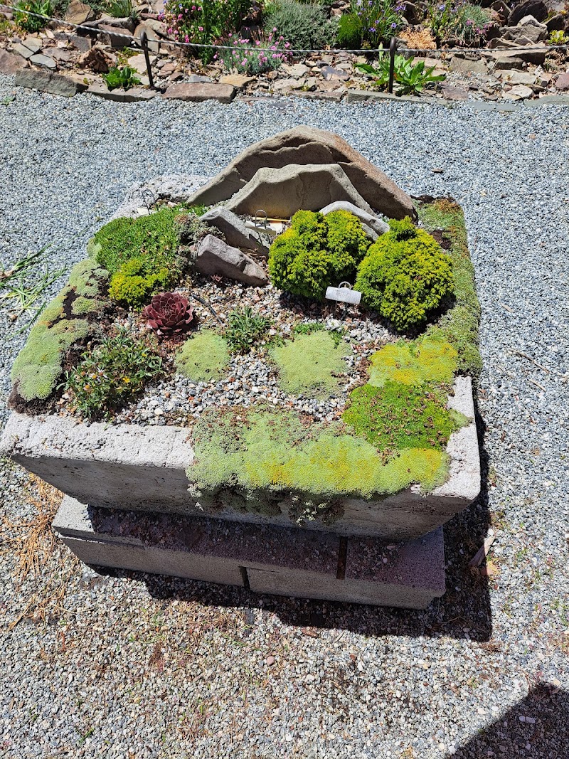 Rock Garden photo 2