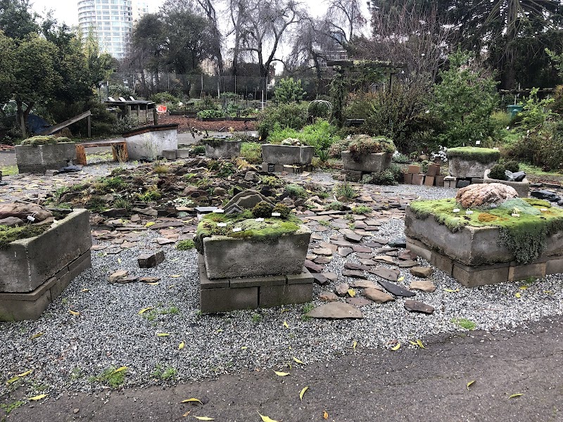 Rock Garden photo 5