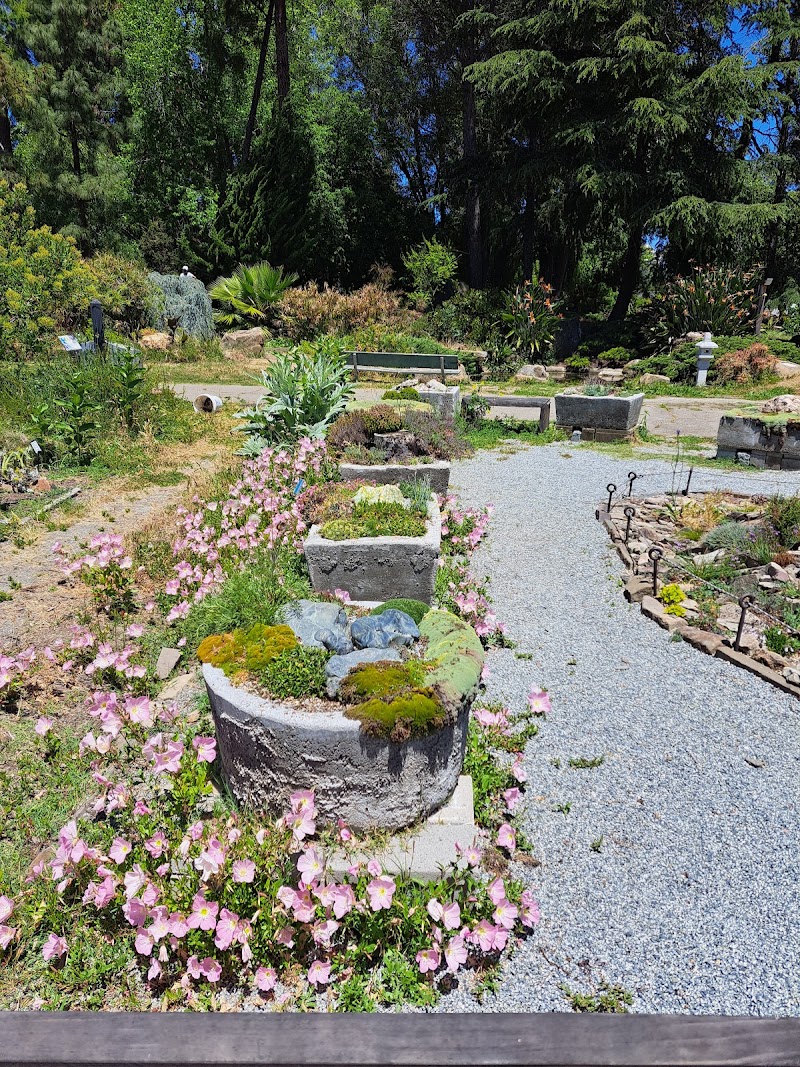 Photo of Rock Garden
