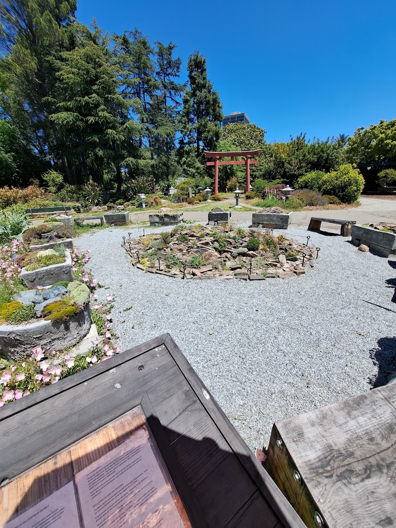 Rock Garden photo 4