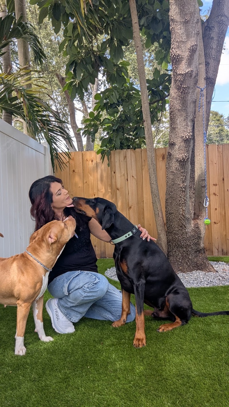 The Pawfect Stay, LLC photo 3
