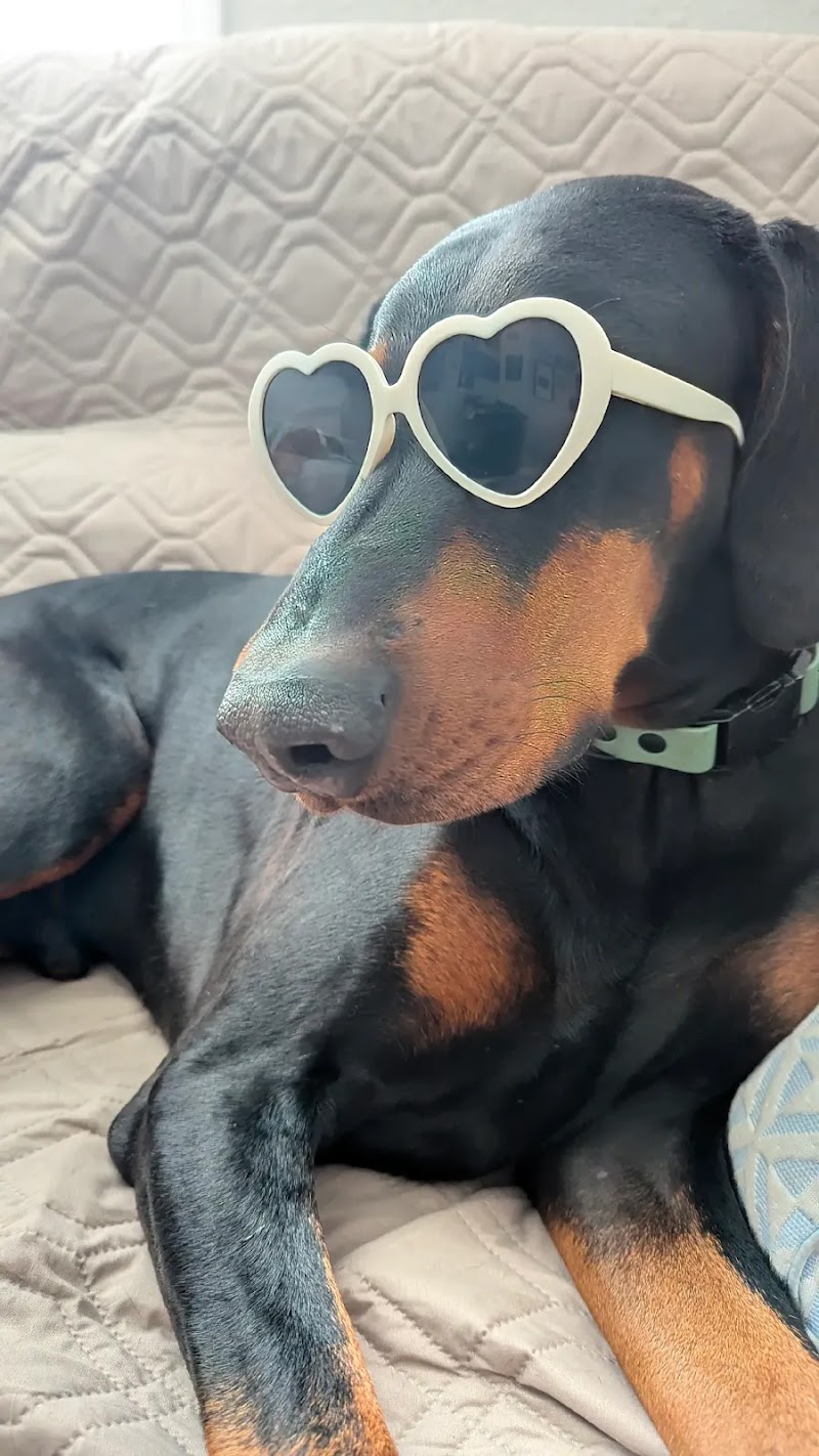 The Pawfect Stay, LLC photo 4