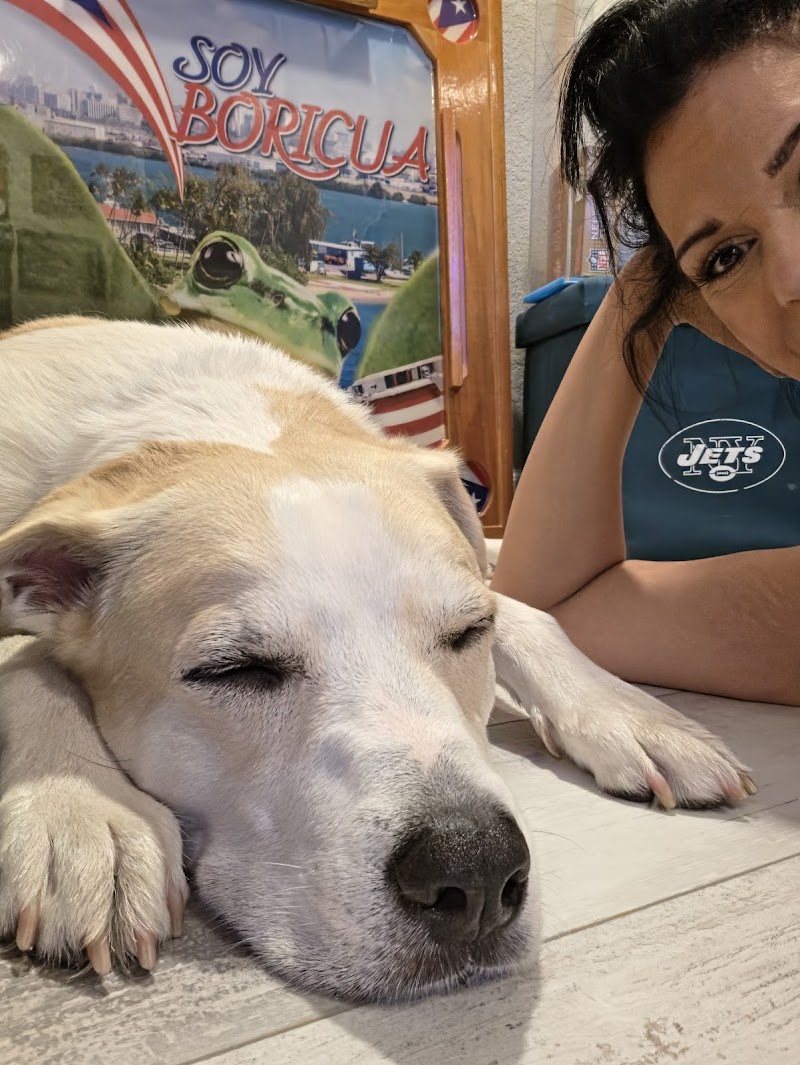The Pawfect Stay, LLC photo 5