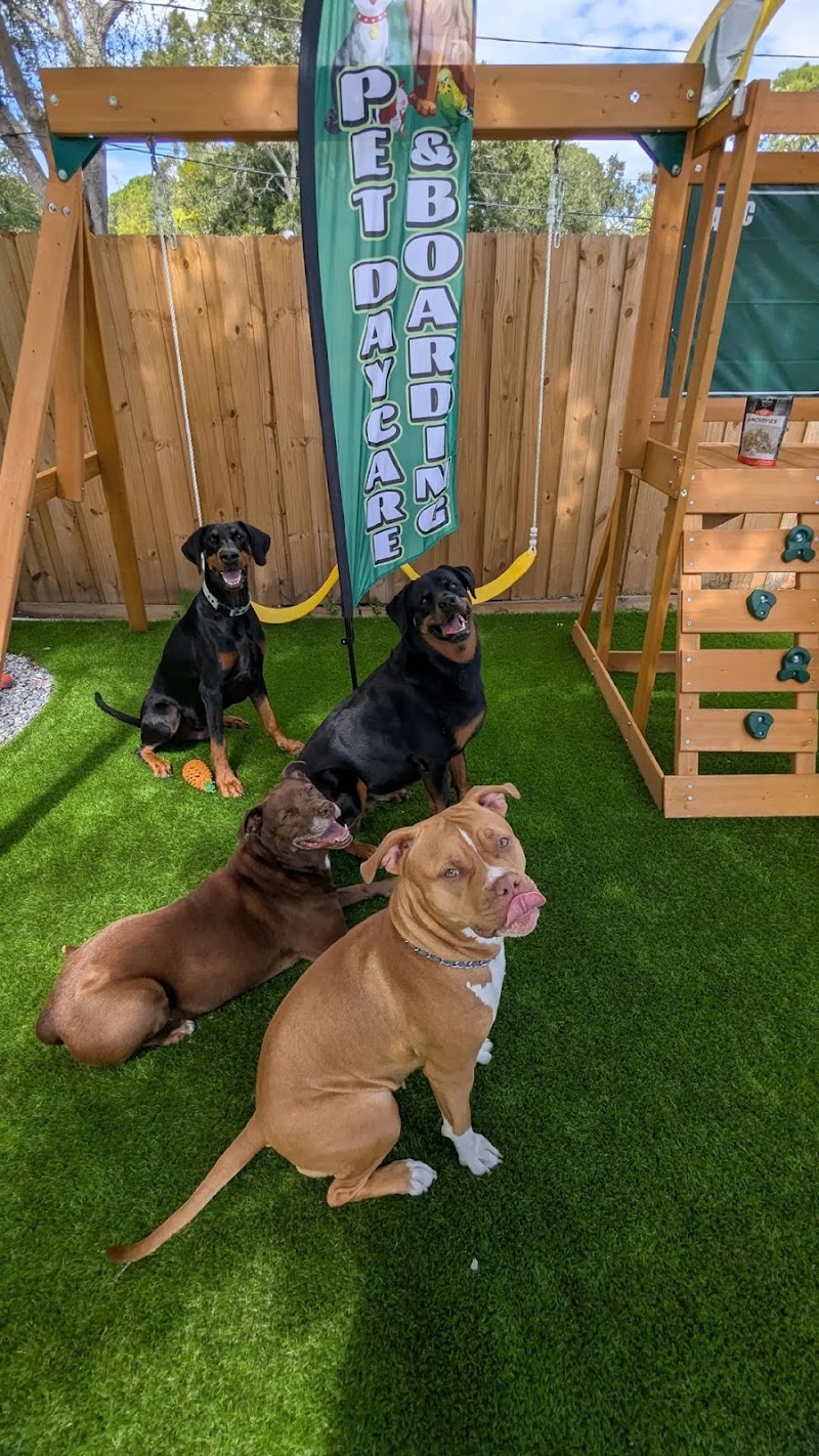 The Pawfect Stay, LLC photo 2
