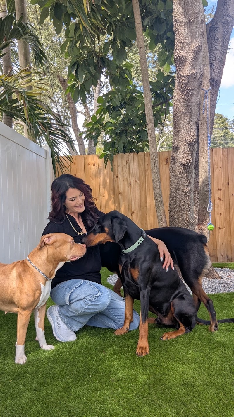 Photo of The Pawfect Stay, LLC