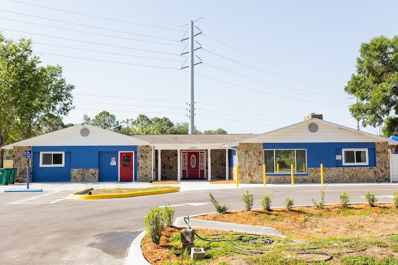 Little Town Academy photo 3