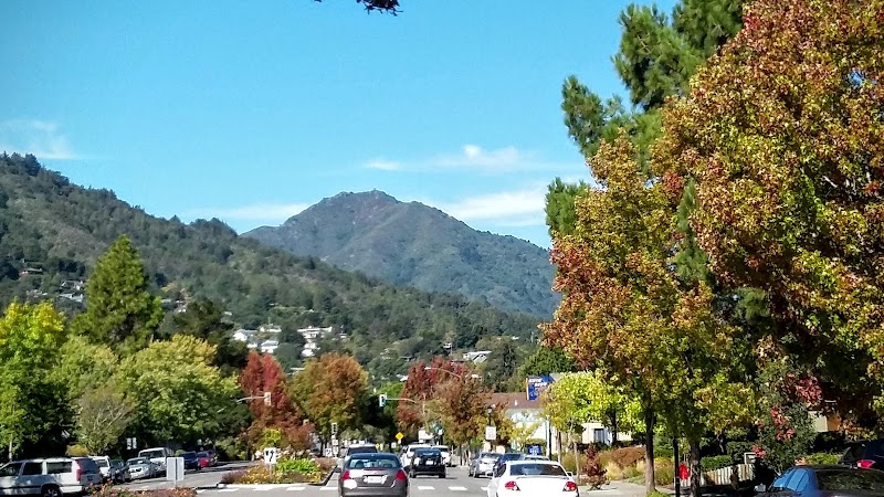 Corte Madera photo 2