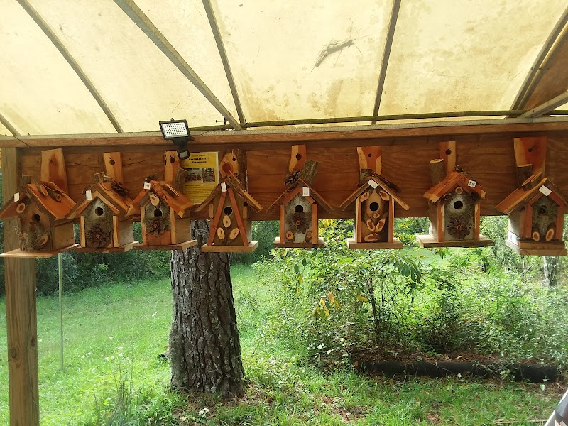 Local Honey and Gifts photo 5