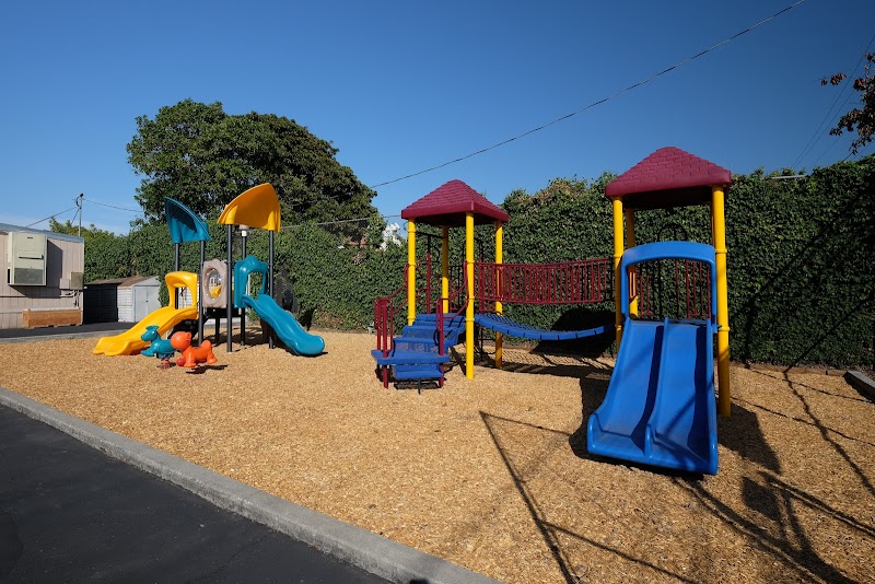 Golden Bay Preschool photo 3