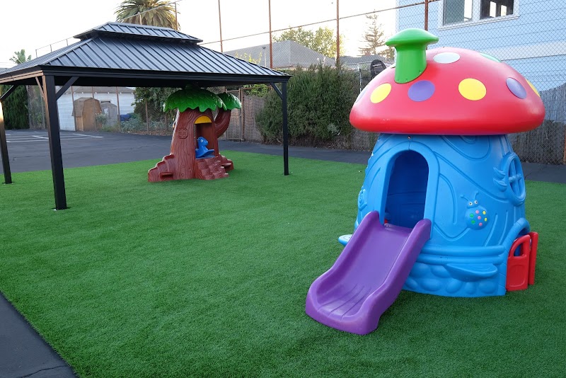 Golden Bay Preschool photo 4