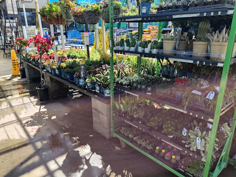 Lowe's Garden Center photo 5