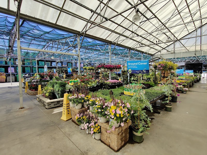 Lowe's Garden Center photo 4