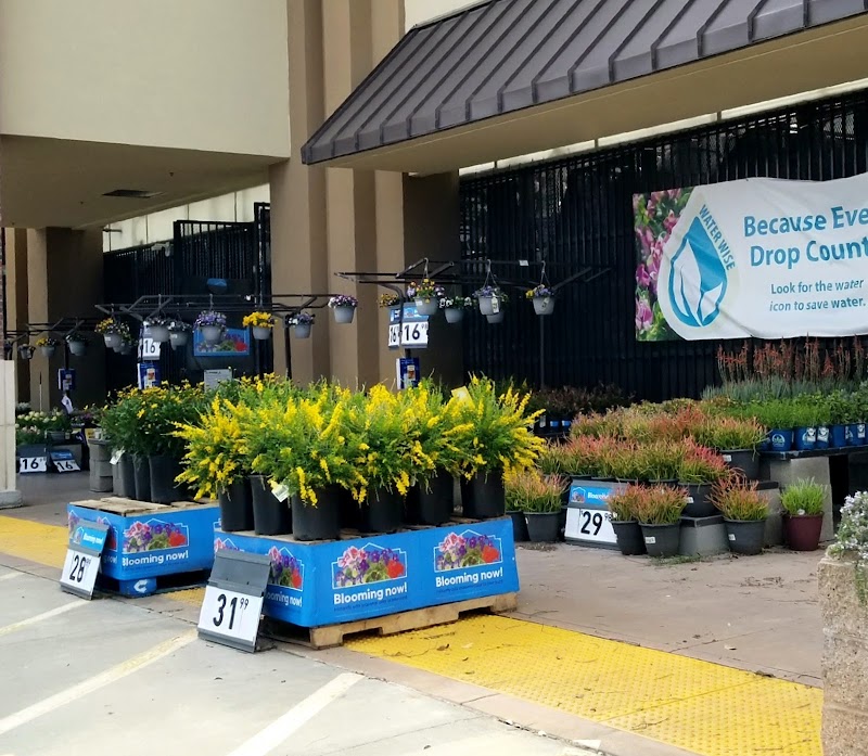 Photo of Lowe's Garden Center