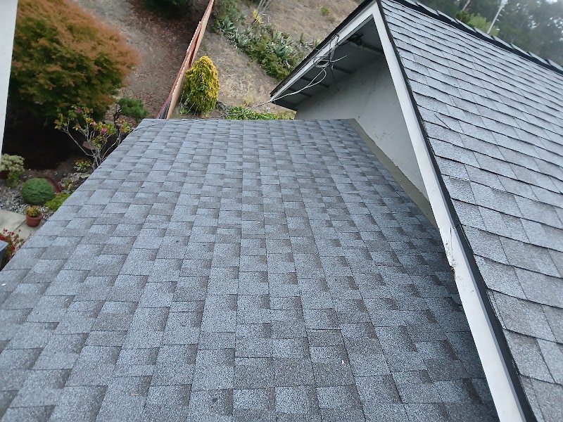 Mad Pelican Roofing photo 3