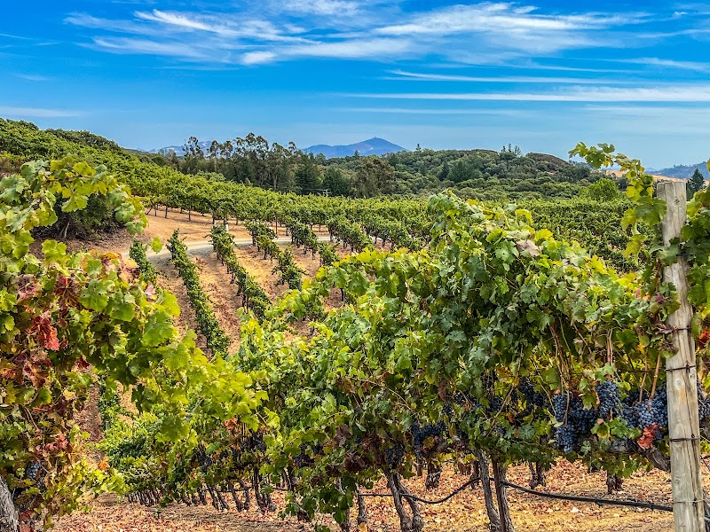 Photo of BobDog Wines