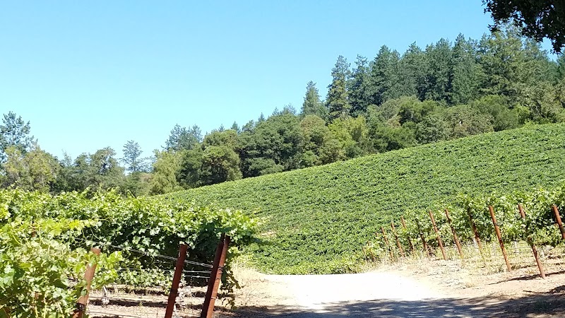 BobDog Wines photo 2