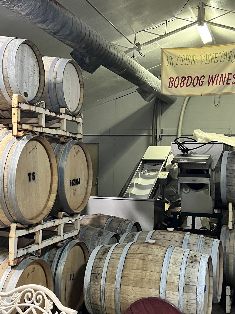BobDog Wines photo 5