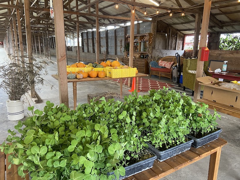 Windrift Farm photo 4