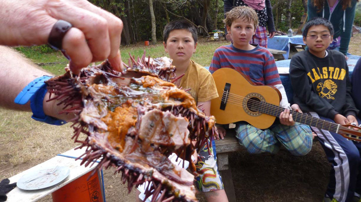 Camp Chrysalis photo 5