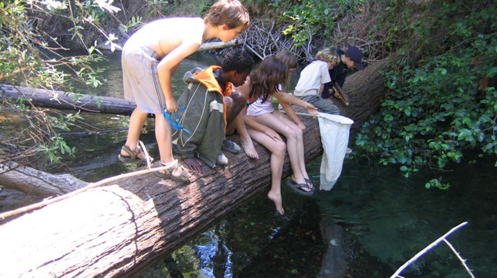 Camp Chrysalis photo 2