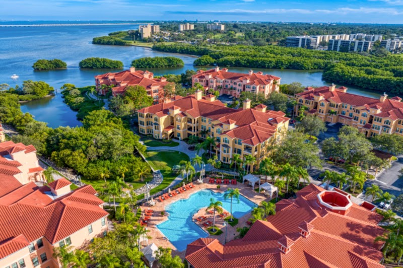 Tampa Homes With Lala photo 3