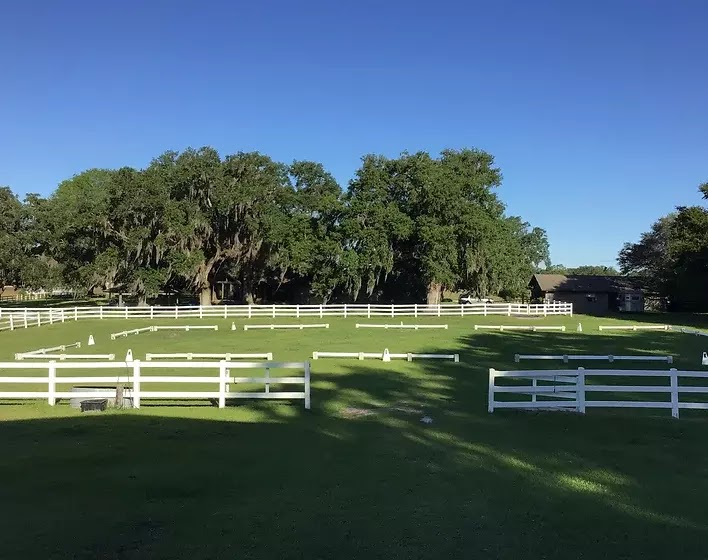 Photo of Normandy Farm South
