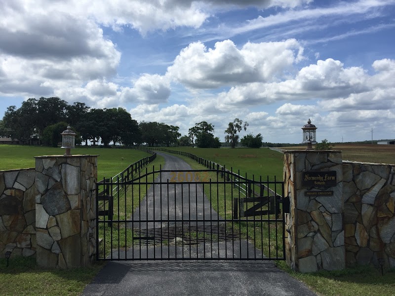 Normandy Farm South photo 3