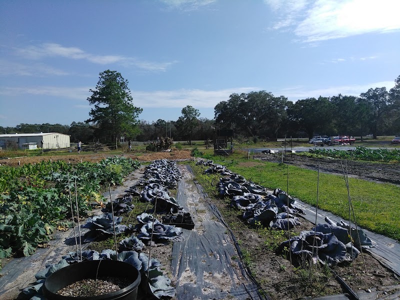 Auro Community Garden photo 2