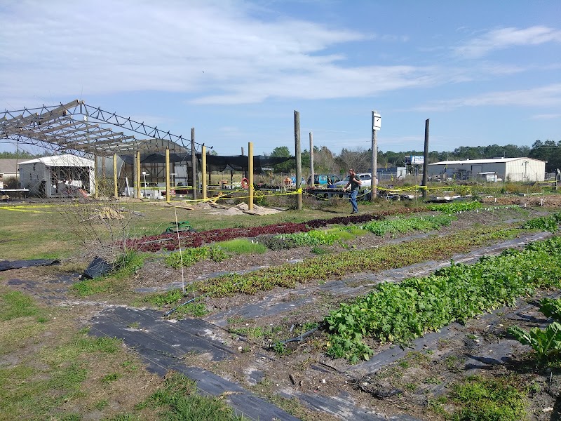 Auro Community Garden photo 4