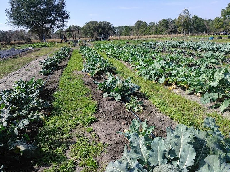Auro Community Garden photo 5