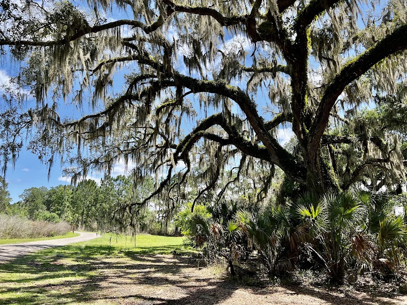 McIntosh Preserve photo 5