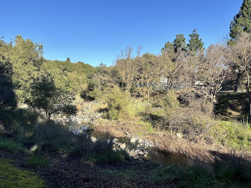 Alamo Creek Park photo 3
