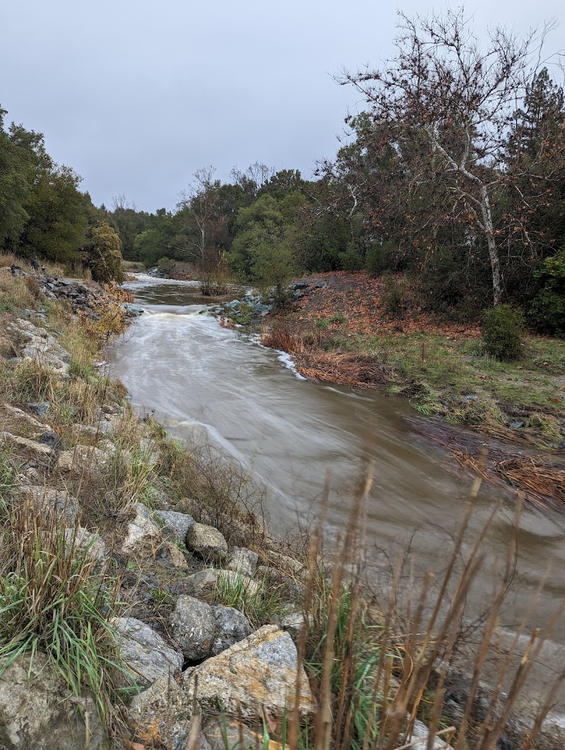 Alamo Creek Park photo 4