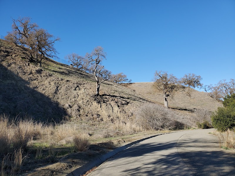 Alamo Creek Park photo 5