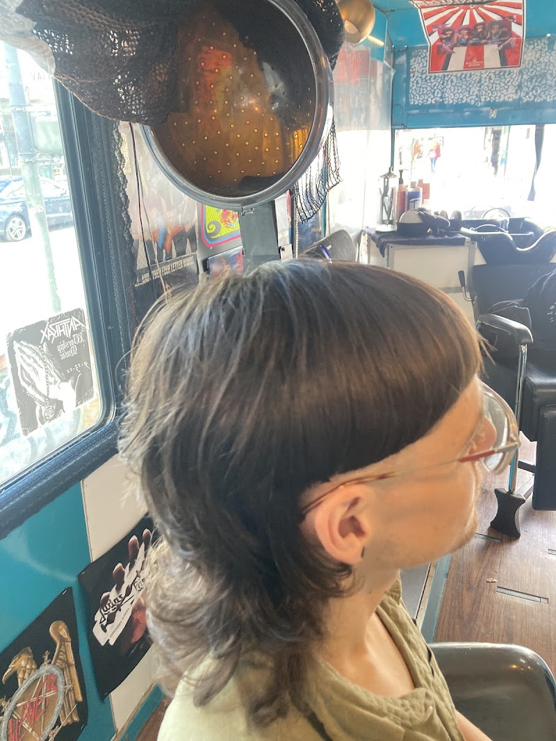 Photo of Hair and heavy metal