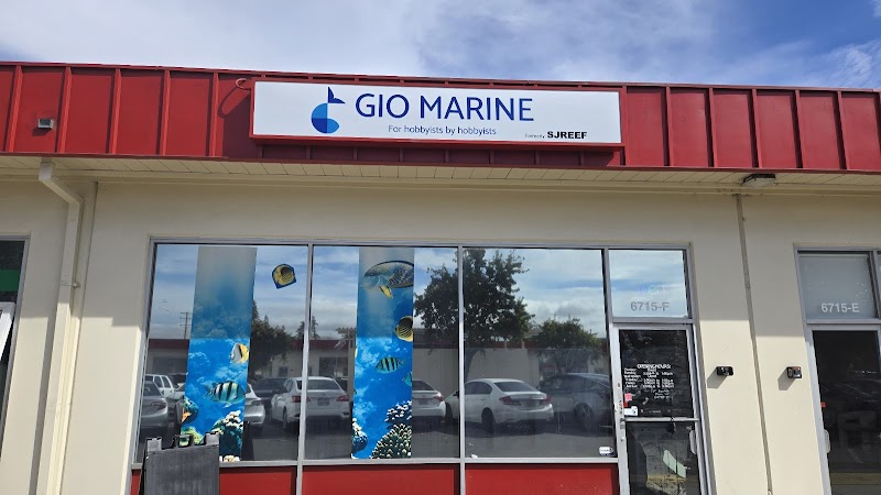 Photo of Gio Marine