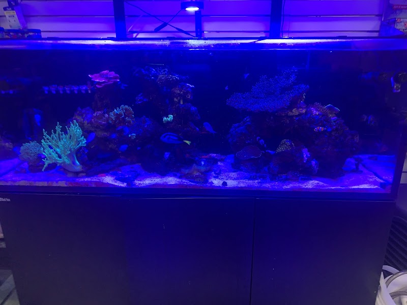 Gio Marine photo 5