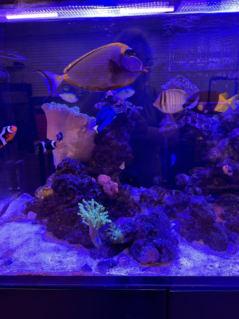 Gio Marine photo 3